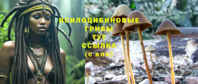 ОМГ ОМГ как зайти  Набережные Челны  Псилоцибиновые грибы MAGIC MUSHROOMS 